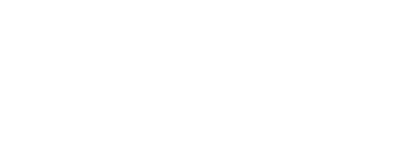 Above the Palm